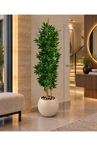 CENTRHOME 170 cm Three-Branch Asparagus Tree with Merek Meker
