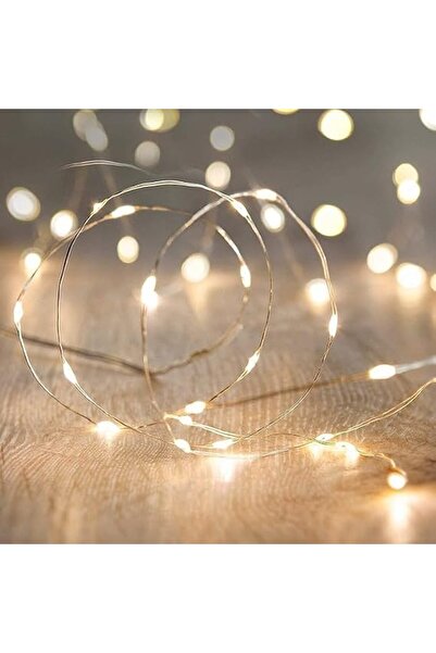 ECVV (1 Piece) LED Fairy String Lights Indoor | 5 Meters - 50 Leds | Firefly ...