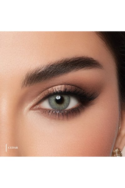 Ms Lens عدسات لاصقة يومية سيدر