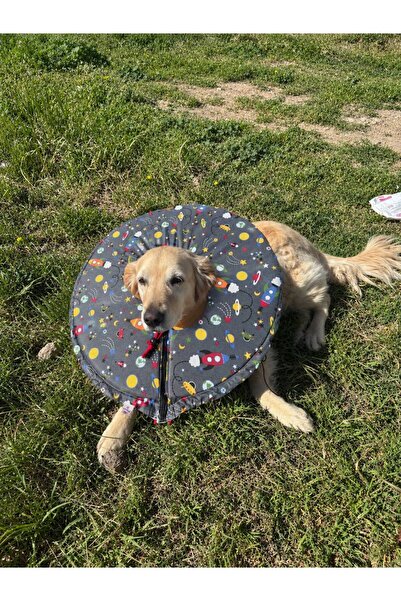 Petris Büyük Irk Köpekler için Operasyon sonrası Kumaş Elizabeth Yakalık-Taba...