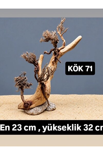 KÖK 71