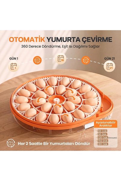 Altın Kuluçka 26'lı Hobi Kuluçka Makinesi - Tam Otomatik Isı ve Nem Ayarlı