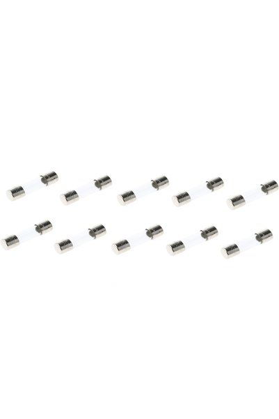 Eska Set 10 sigurante fuzibile F10A rapide 5x20mm 520.527-10