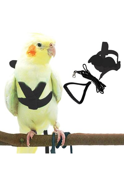 KASTWAVE Adjustable Pet Parrot Harness and Leash Set – Anti-Bite, Durable Nyl...