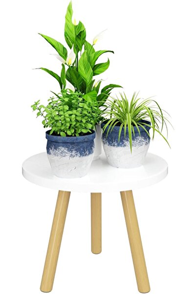 GENERAL Bamworld Indoor Plant Stand Wooden Short Plant Stand for Multiple Pla...