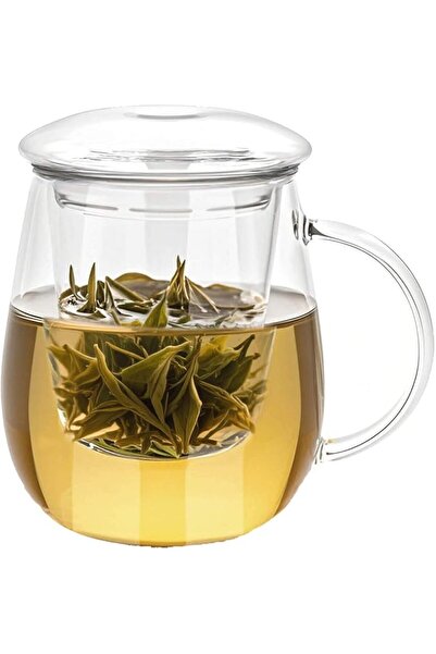 GENERAL Clear Glass Tea Infuser Mug with Strainer and Lid Large Tea Cup 500ml...