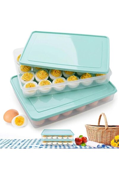 SYOSI Deviled Egg Containers with Lid, Deviled Egg Holder Tray Carrier for Re...