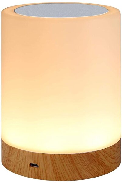 PRITZKER Night Light, Touch Lamp for Bedrooms Living Room Portable Table Beds...