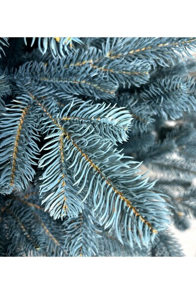 ChristmasExpress Brad artificial ELIT NOBIL blue, 230 cm, 100% ramuri turnate