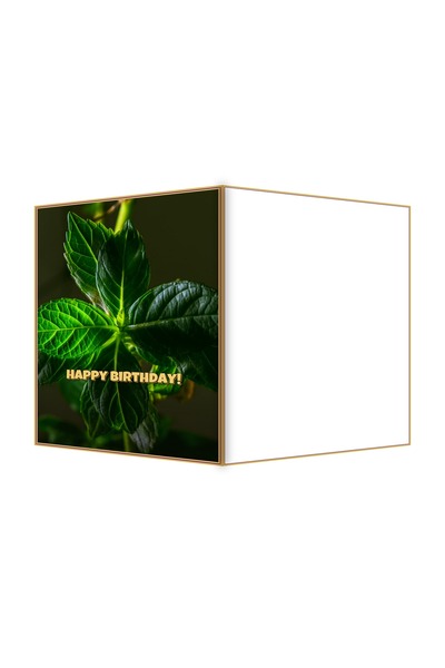 OEM Birthday Card Fresh Mint Leaves, Elegant Design, 13.3x19.4 cm Folded