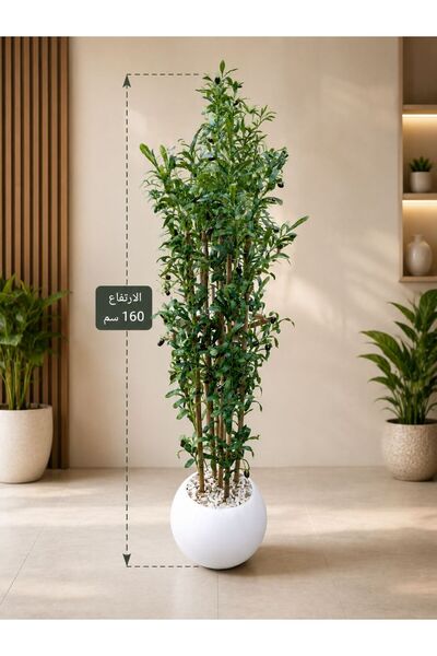 Generic Brand 5 Fara Premium Artificial Fruitful Tree 170CM Height White Wood...