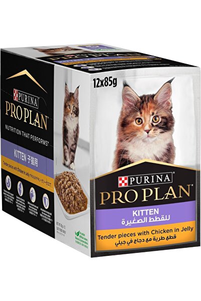 PURINA NESTLE Wet Cat Food for Kittens with Chicken in Jelly from Purina 12Хp...