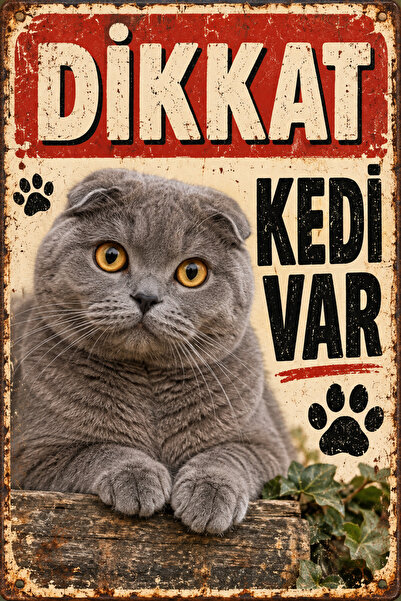 Lucena Scottish Fold Caution Cat Present Retro Metal Wall Sign Decorative Cat...