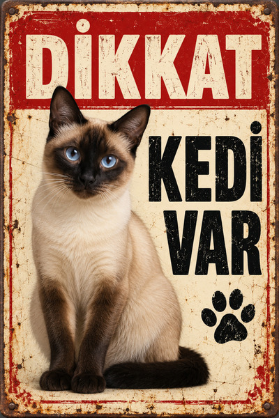 Lucena Siyam Kedisi Dikkat Kedi Var Retro Metal Duvar Tabelası Dekoratif Uyar...