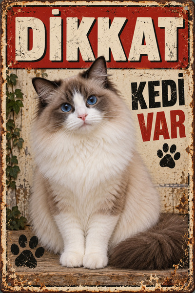 Lucena Ragdoll Caution Cat Is Present Retro Metal Wall Sign Decorative Cat Wa...