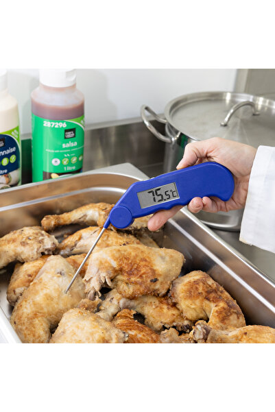 Gourmet | Katlanabilir Problu Profesyonel Gıda Termometresi - Mavi