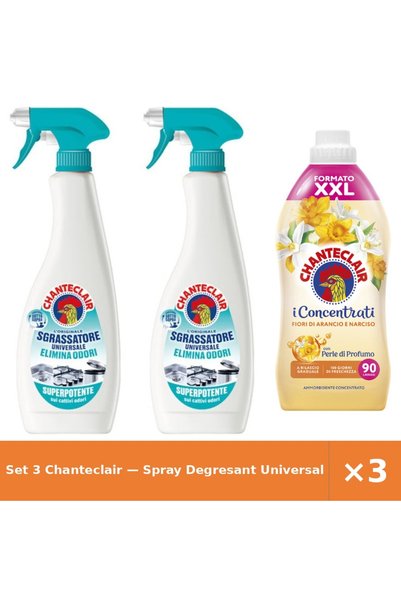Chanteclair Set 3 — Spray Degresant Universal An + Balsam de rufe Flori de port
