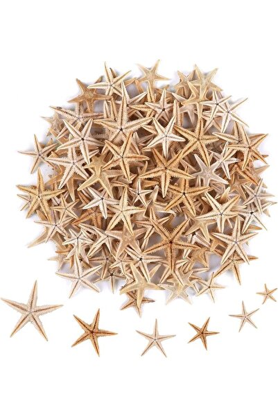 MAKINGTEC 100 Pcs Small Starfish Star Sea Shell Beach for Craft 0.4"-1.9"Star...