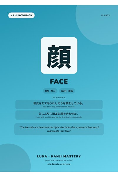 OEM Poster Infografic Kanji Fata, Scriere Japoneza, Carton 250g, A4