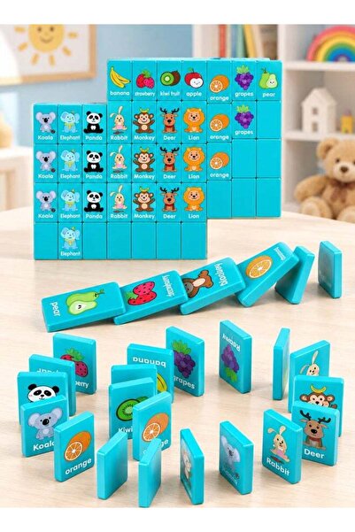 Generic Jallan Educational Matching Domino Card Game