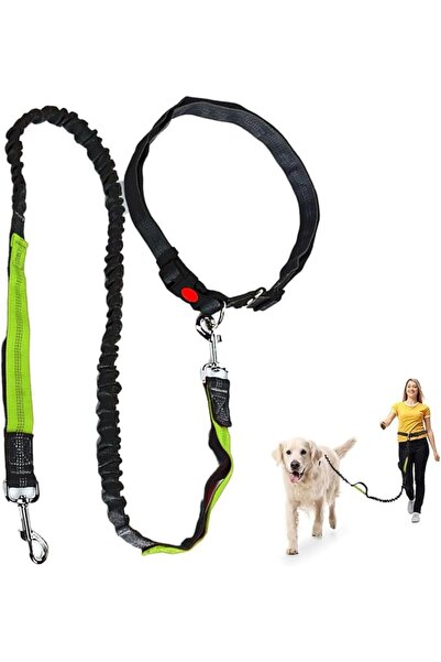 Generic Hands Free Dog Waist Belt with Dual D-Rings, Detachable Elastic Runni...