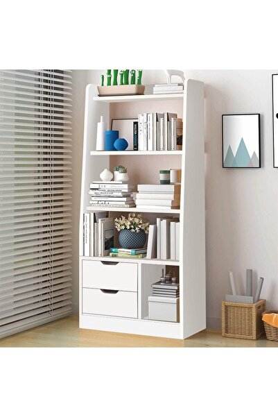 Modern home Danube Home Salvatore Bookcase I 2-Tier Book Shelf Cabinet with D...