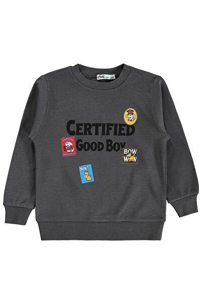 Civil Boys Certıfıed Baskılı 2-5 Yaş Sweatshirt - Gri