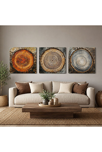 Voovart Ağaç Halkaları Kanvas Duvar Tablosu - 3'lü Canvas Tablo Seti | Salon ...