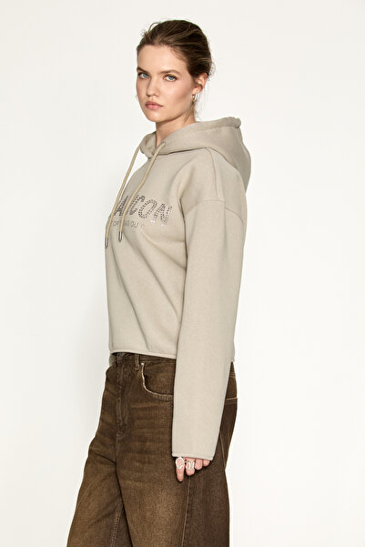 ETHIQUET ETROPUS Kadın Organik Pamuklu İçi Polarlı Oversize Vizon Sweatshirt