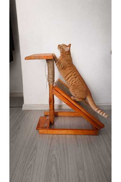 cnyr Wooden Cat Scratching Post and Play Area, with Sleeping Cushion, Rope, Decorative Design