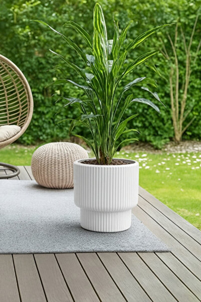 Bliss Dekoratif Modern İç Ve Dış Mekanı Saksısı Vega Saksı & Saksılık 32x32 c...