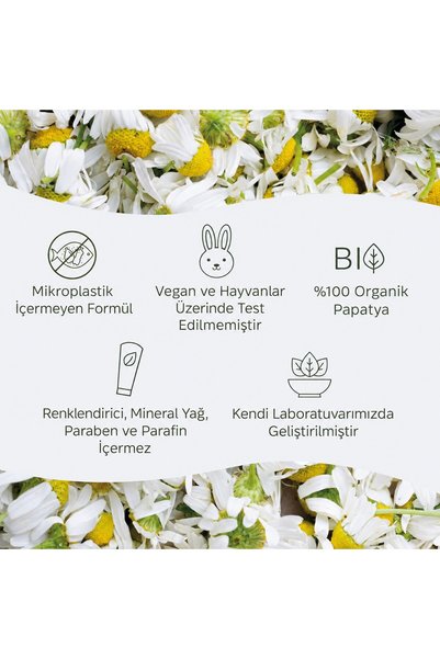 Kamill Classic Vegan Hand and Nail Care Cream 100 ml – Organic Chamomile Moisturizer and Protector
