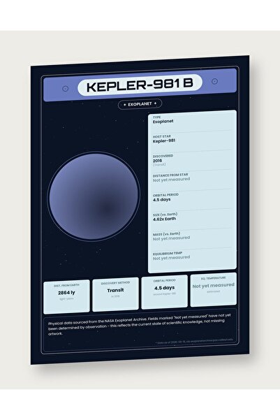 OEM Ινφογραφική Αφίσα Εξωπλανήτης Κέπλερ-981 β, Δεδομένα της NASA, Εκπαιδευτι...