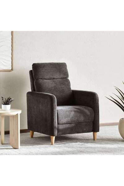 PAN HOME Skylark Single Seater Recliner