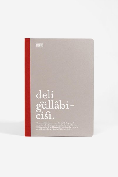 Hisli Şeyler Lugat365 x Karatis 13*19 64 Yp.Çizgili Defter-Deli Güllabicisi