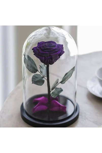 Trandafir Criogenat Trandafir violet intens conservat într-o cupolă