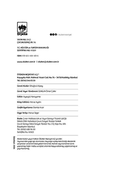 Ötüken Neşriyat Vıttırıvızık Dedektiflik Peşinde - Sarı Ördek Vakası / Burcu Koza Kocaoğlu