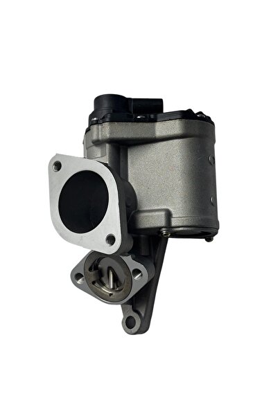 BGZ STORE Suzuki Grand Vitara 1,9 Ddis 2005-2014 EGR Valfi