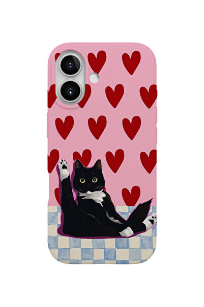 farifra iPhone 16 Uyumlu Desenli Silikon Lansman Telefon Kılıfı _K562pembe.png