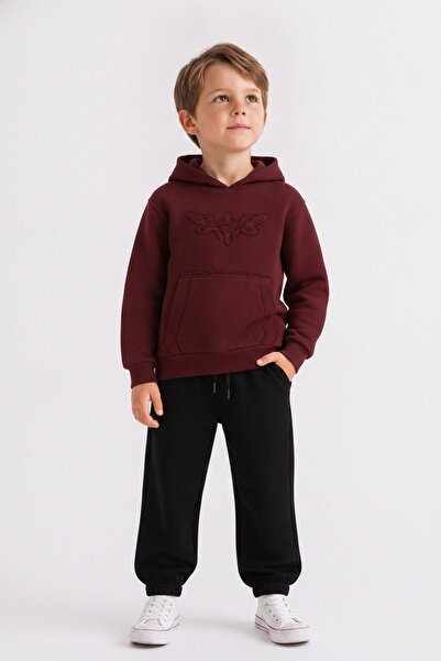 HAUSEkids 4-8 Years Old Henry Miles Boys' Suit-Burgundy