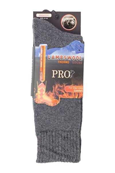 Pro Socks Κάλτσα ισοθερμική ανδρική Pro Insulated Thermal Socks - Ανθρακί