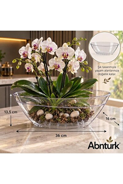 abnturk Kayık Orkide Saksı Pratik Dayanıklı Şık 3.8lt Tabaklı Şeffaf Oval Ork...