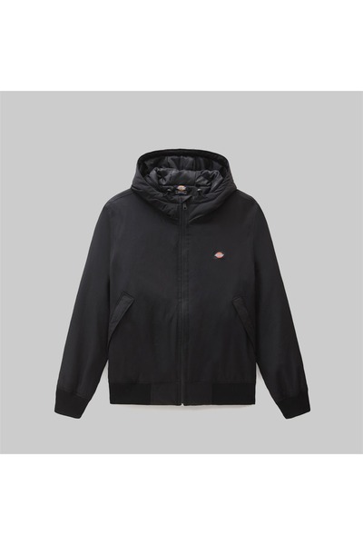 Dickies Νέο Μπουφάν Σάρπι