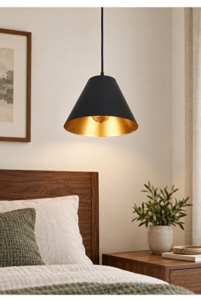 Generic Brand Modern Black and Gold Color E27 Base 25cm Pendant Ceiling Light