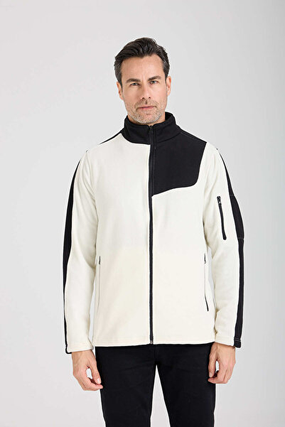 ibiza polar