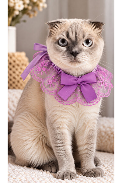 Canbutik Cat and Small Breed Dog Collar