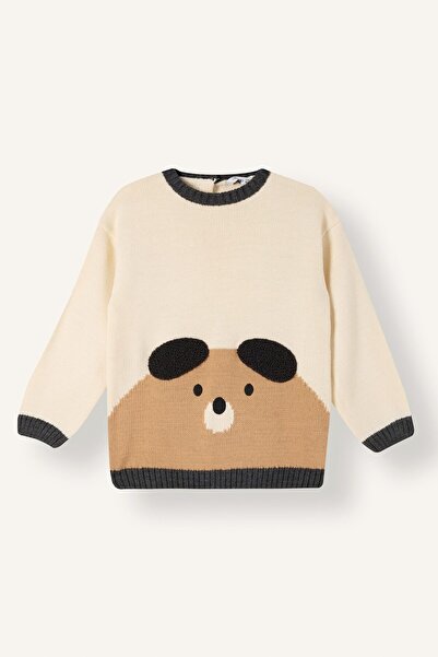 DeFacto Oversized Teddy Bear Figured Knitwear Sweater for Baby Boy I1883A526Wn