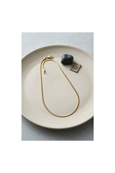 evimdeyokyok 316L Steel Gold Color 55 cm Snake Model Men's Necklace Tj-Erk1416