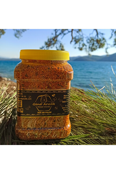 Günel Arıcılık Yaş Arı Poleni 1 kg