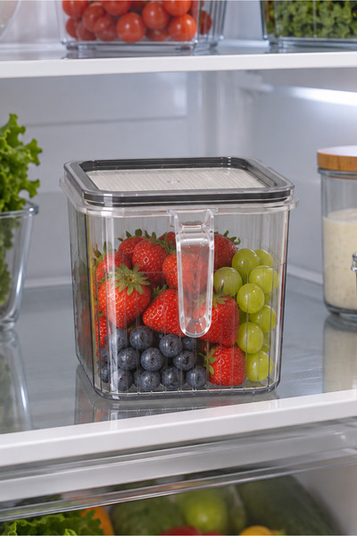 Orvila Single Transparent Food Container with Handle, Sealed Lid, Storage Container, Cabinet Organizer, 1 Piece